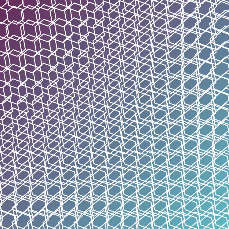 bilinearInterpolationTwist #71