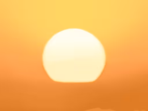 GM Sunshine No38