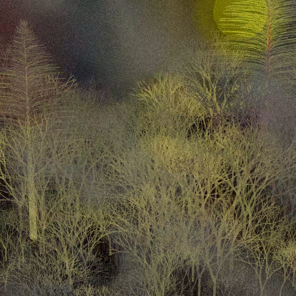 Moonlit Native Bush #7