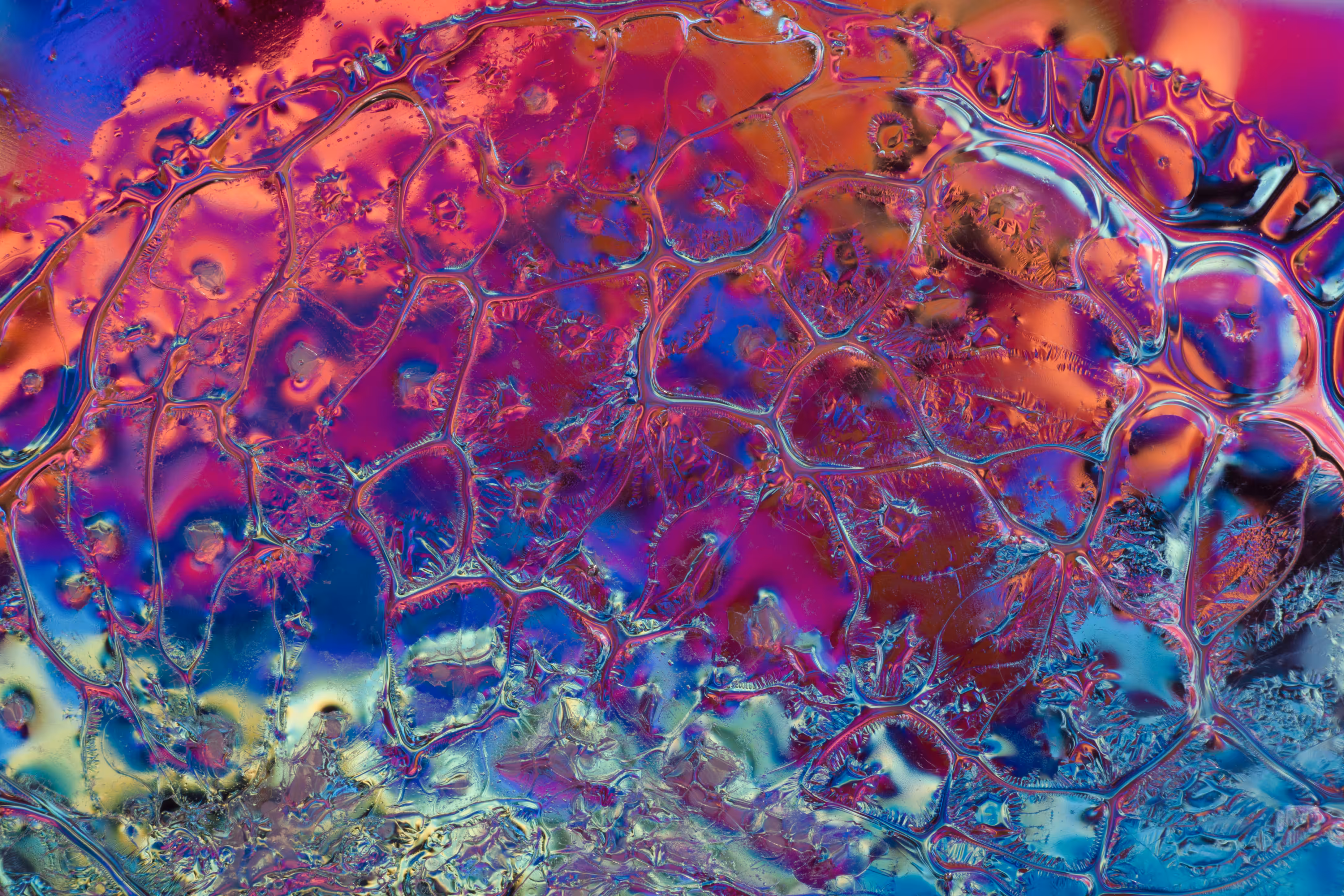 Neurons No.2
