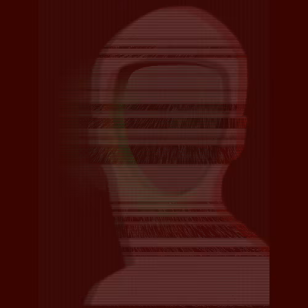 Layers of Noise #244