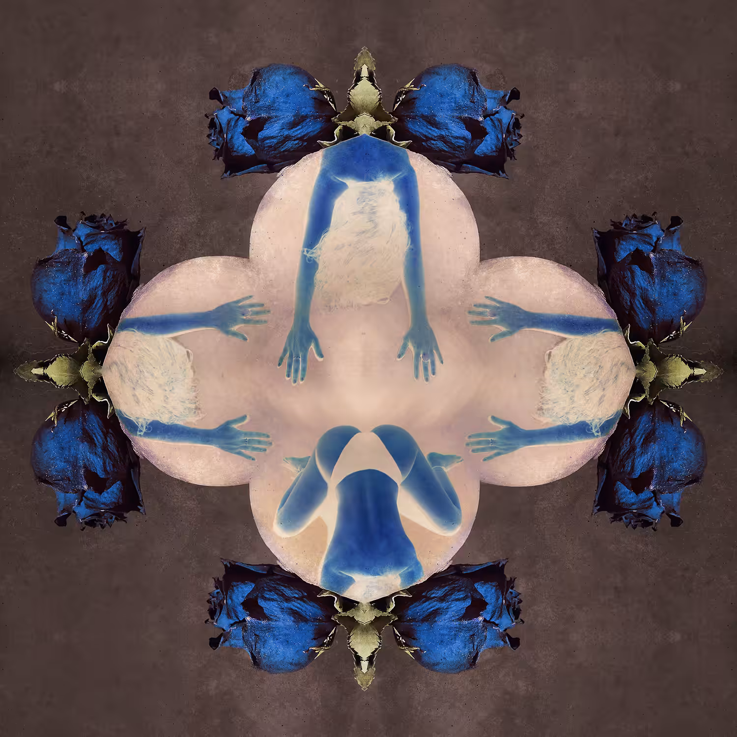 Blue Kama Sutra