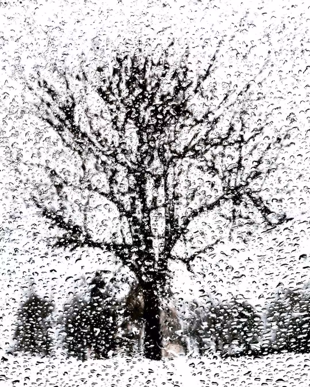 Rain Painting #0009