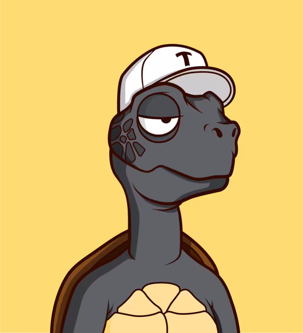Tiny Turtle 69