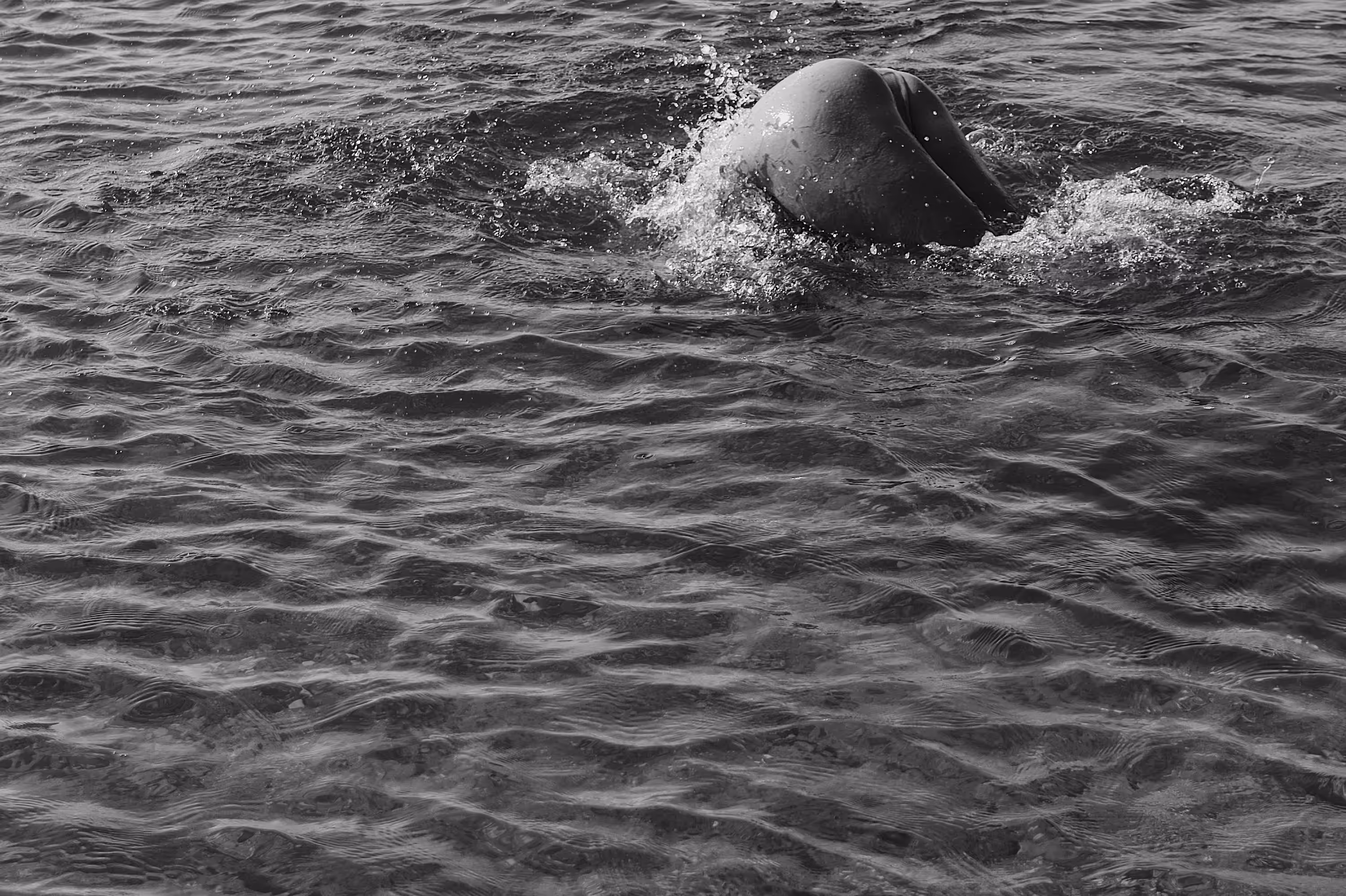 DIVE