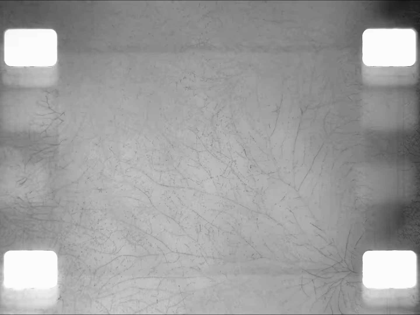 LUMEN8 000 > wind