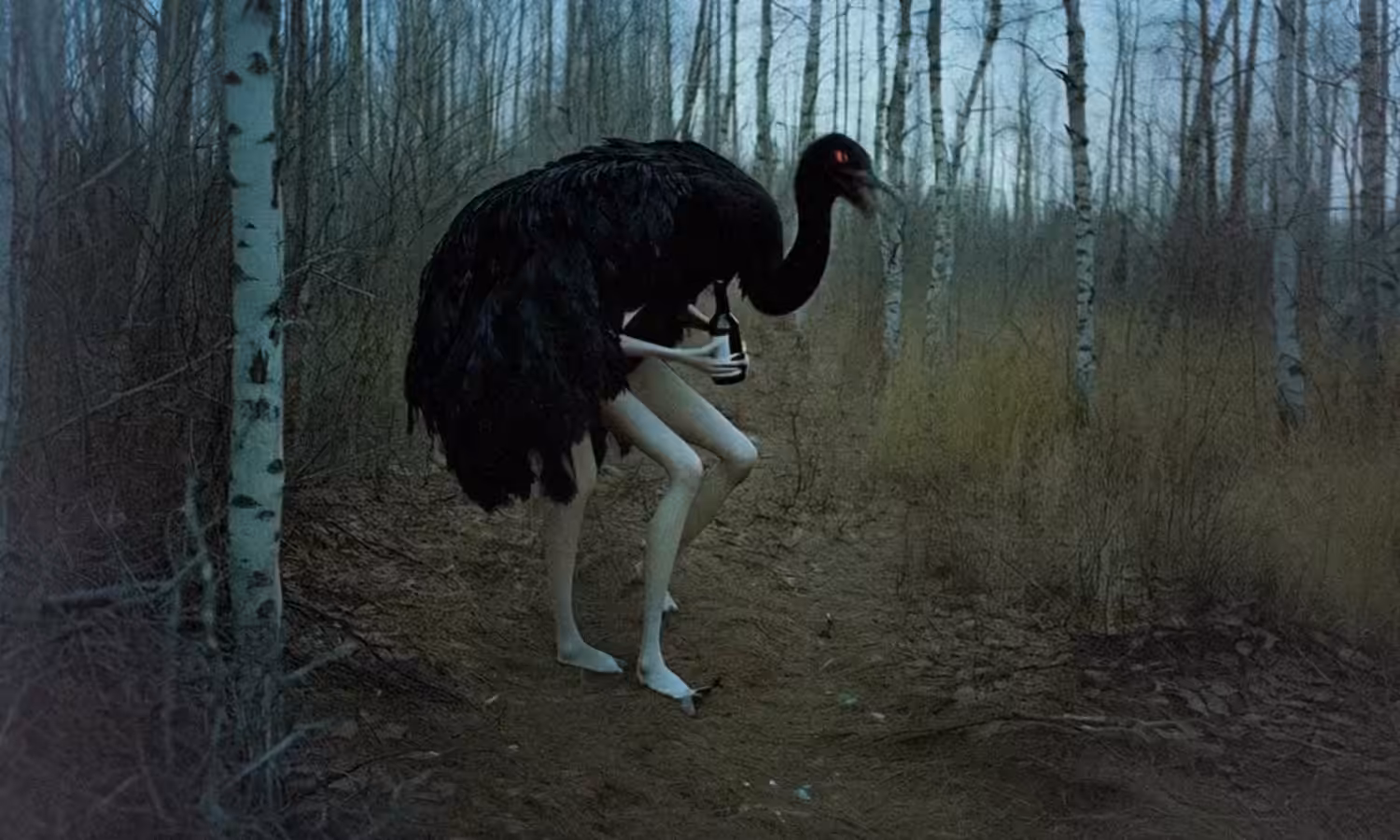 Forest Never Sleeps: Part 2