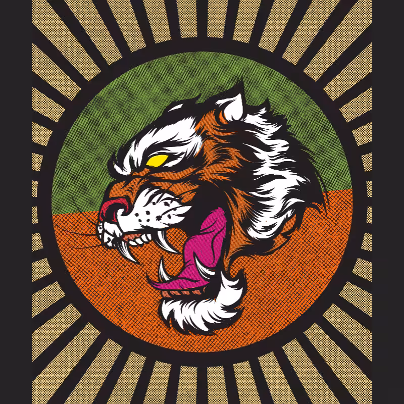 Big Tiger Soul #16