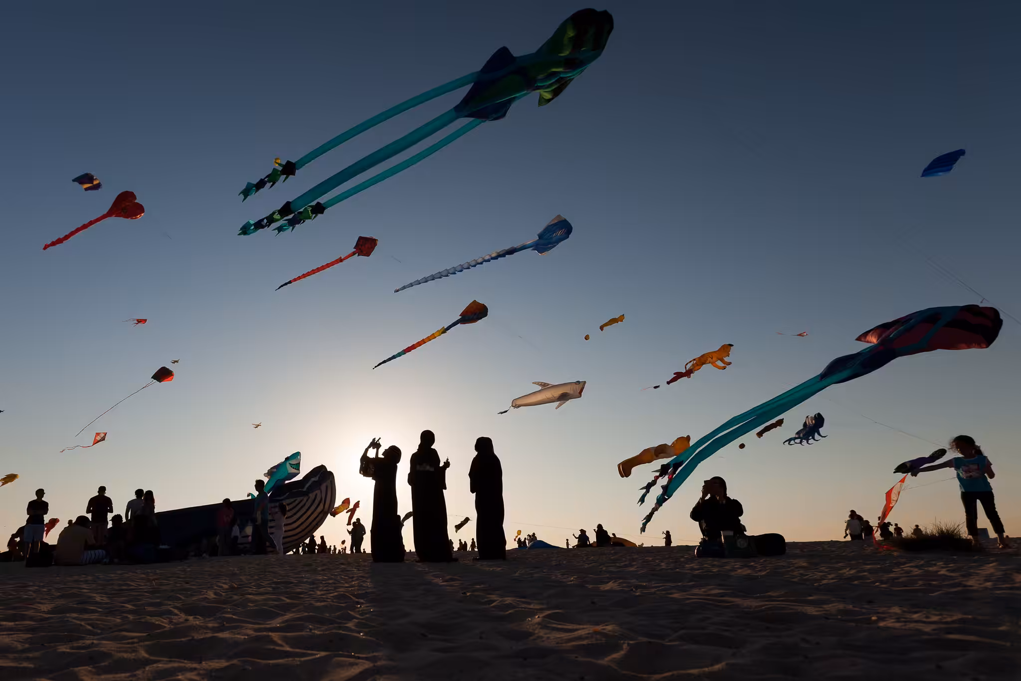 The Kites Above