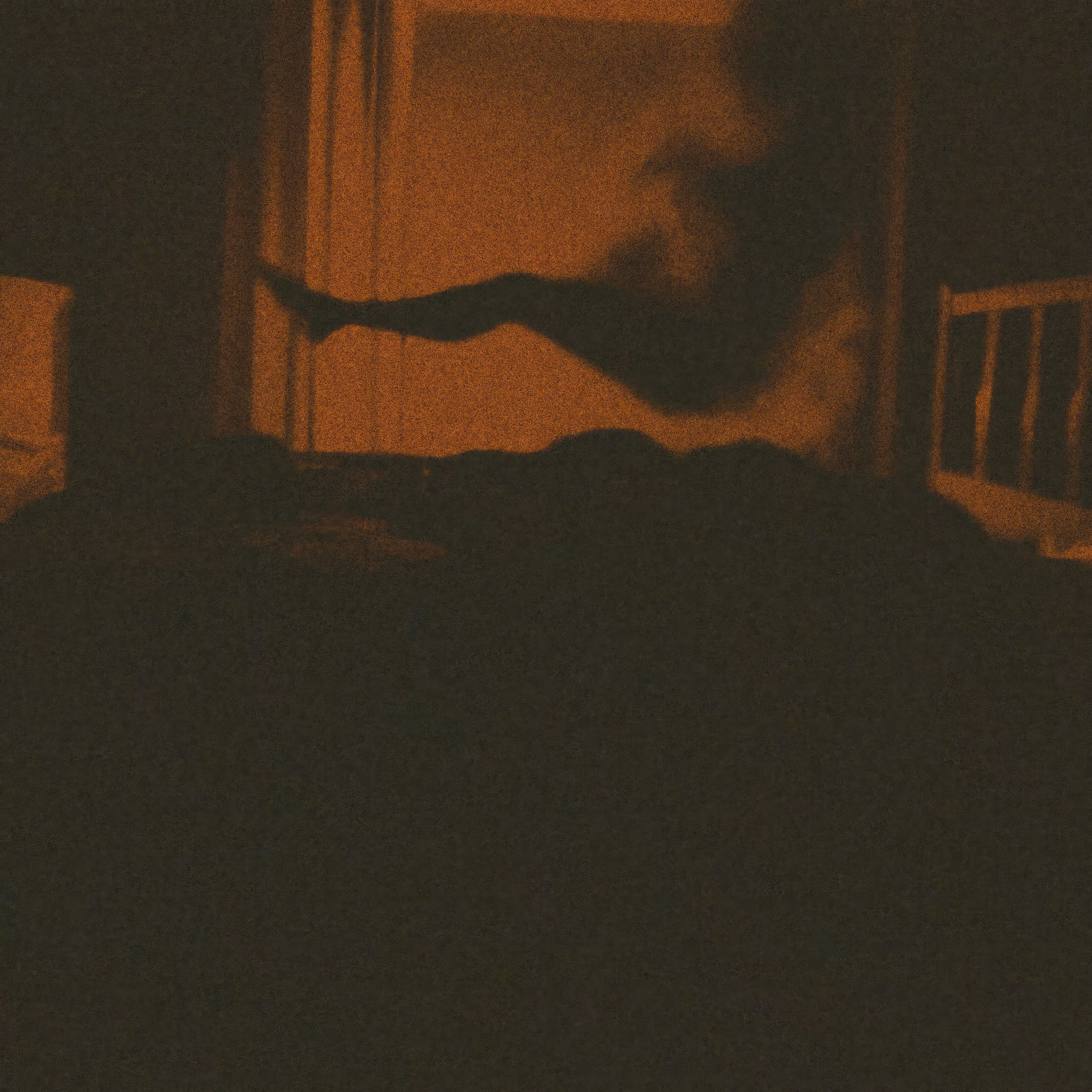 Hypnagogia #18