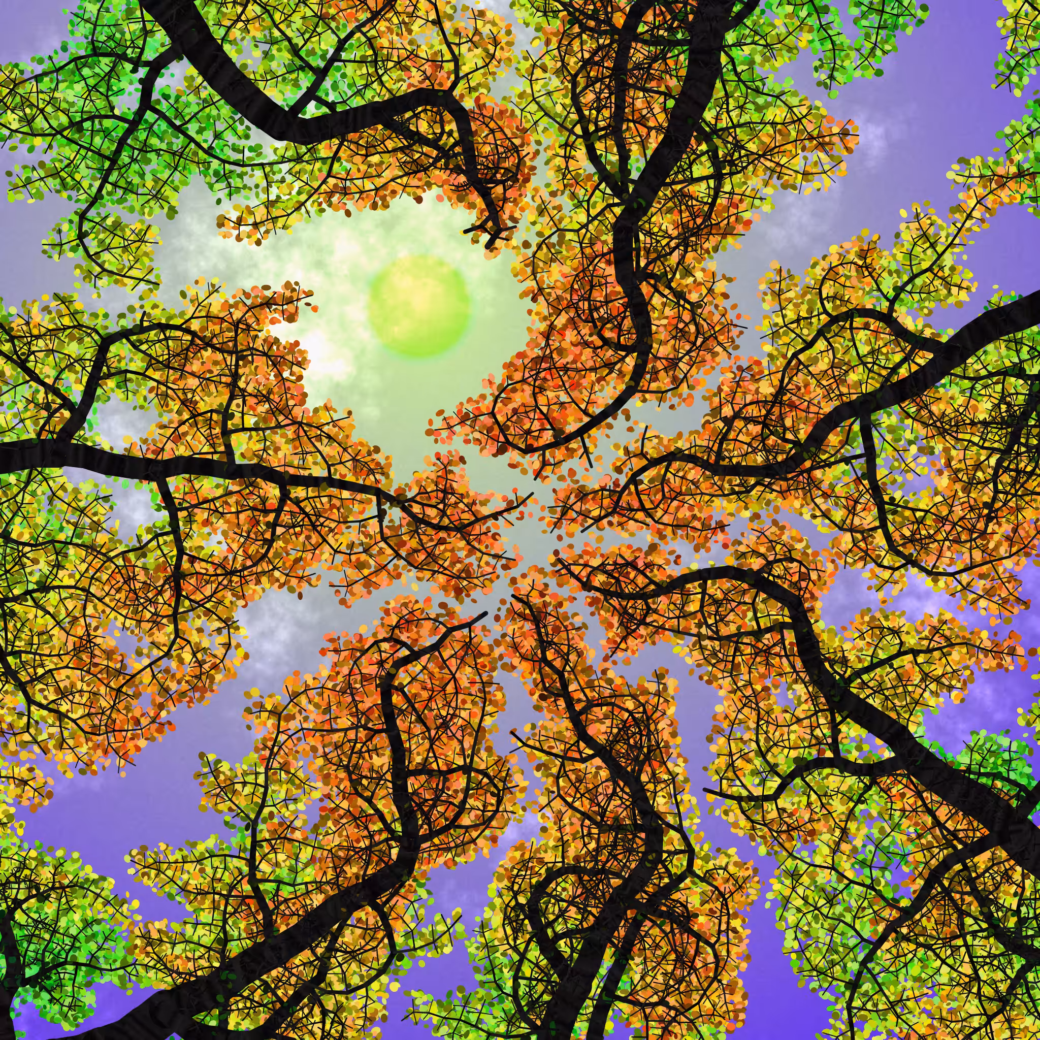 Tree Skyness #56