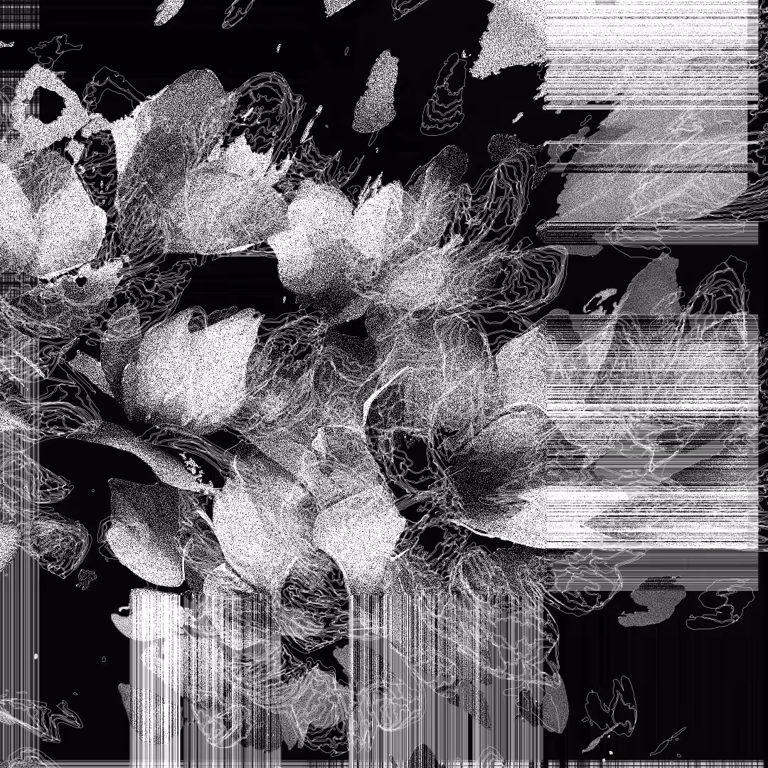 beautiful scenery  : Stone Flowers #7