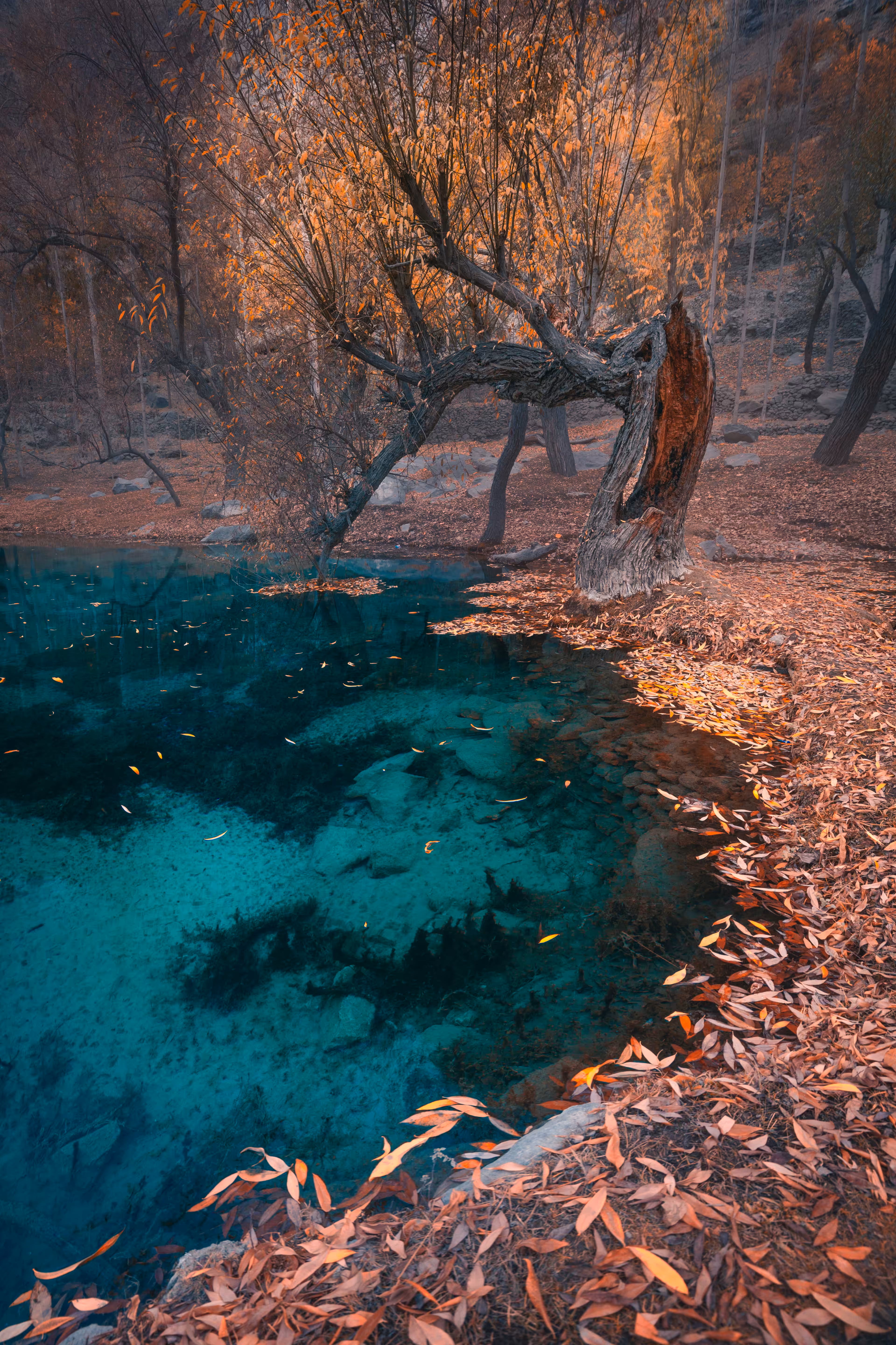 Autumn Crystal