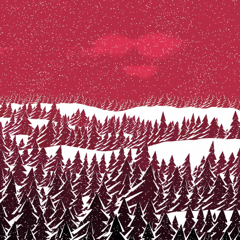 Winterland #181