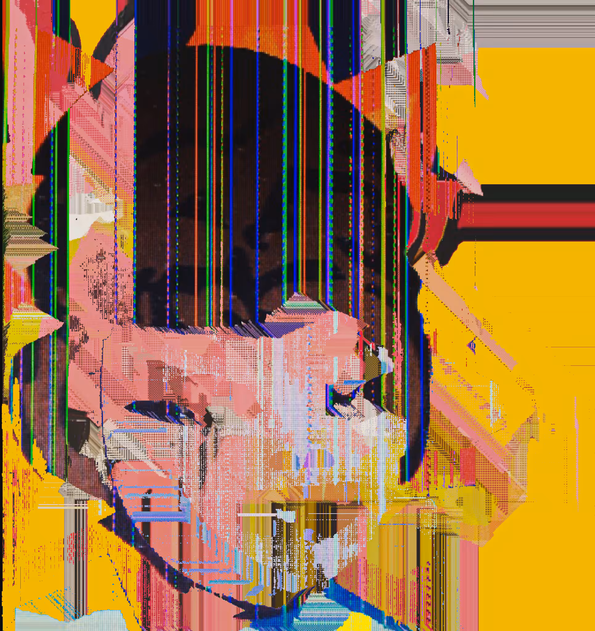 Portrait in Degeneration
