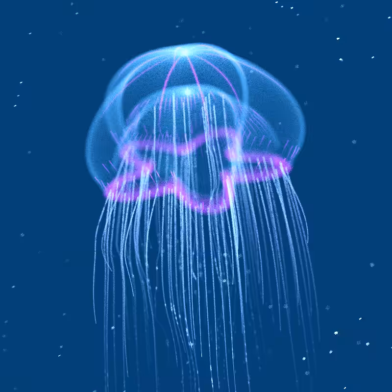 Creatures of the Deep #1 - The Jellyfish #23