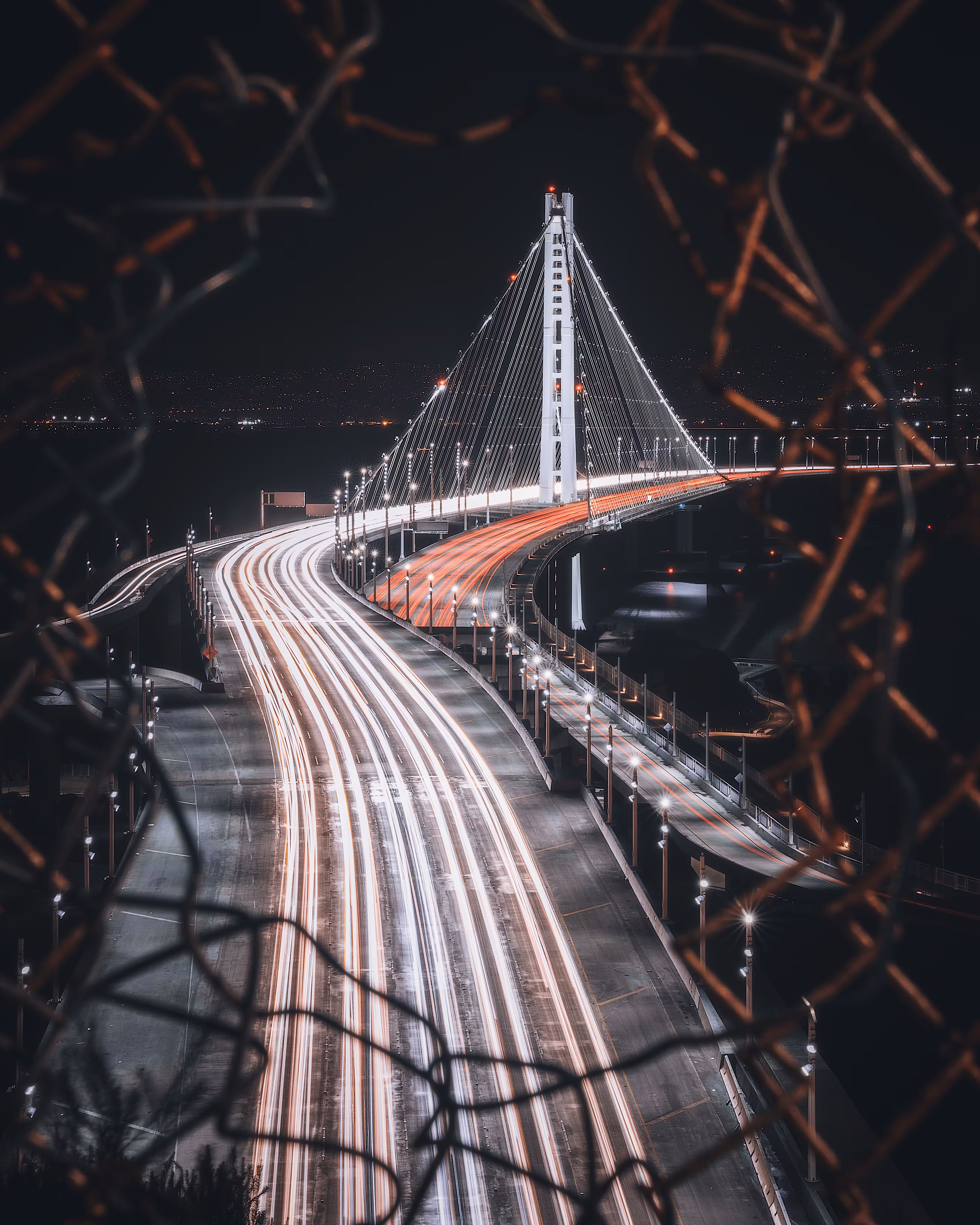 Bay Beginnings #45 // Fenced In