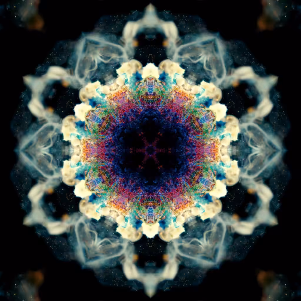 The Playground: Microscopic dreams