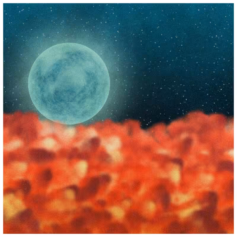 Rêve em Nuvens #11