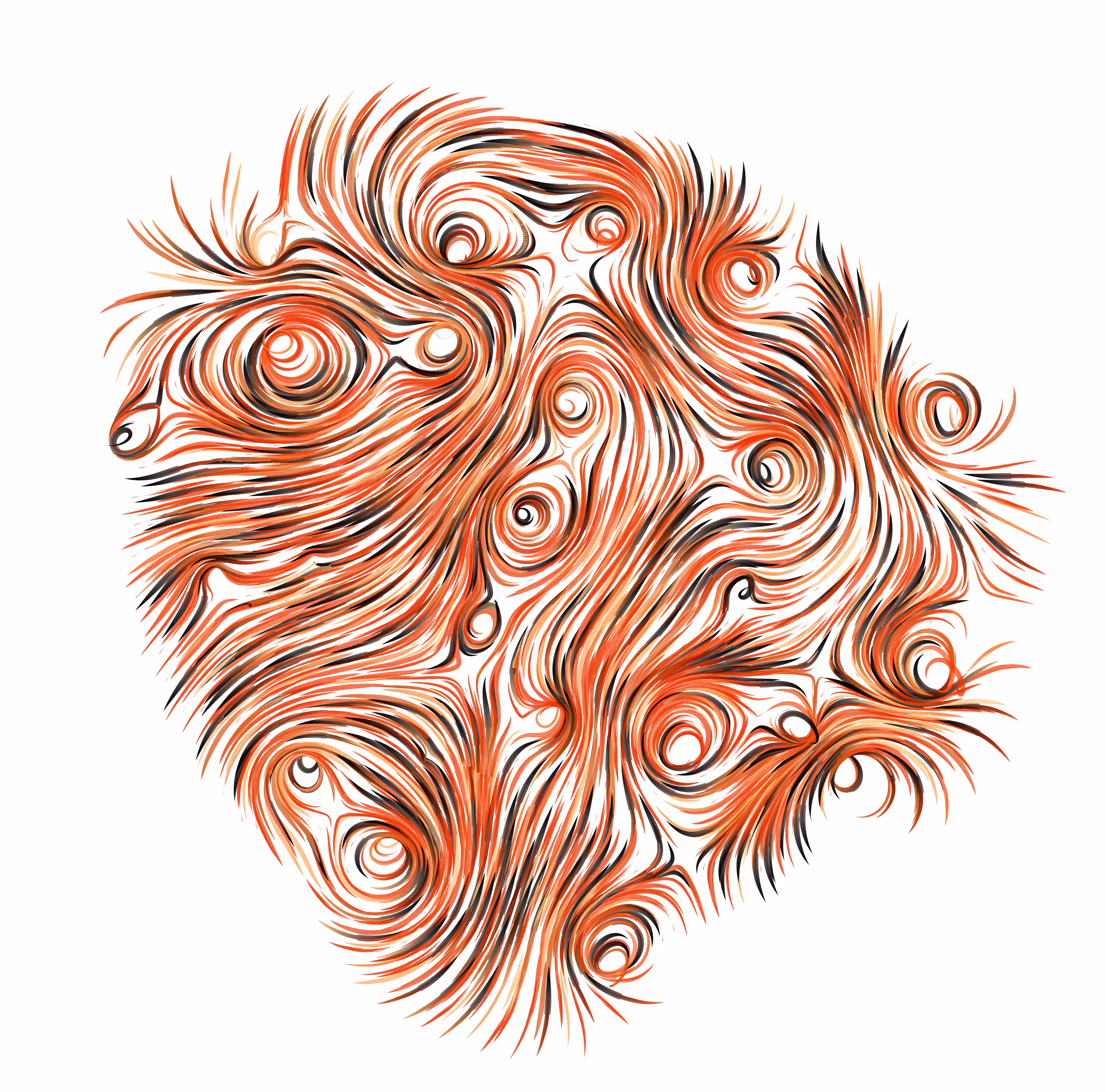 flow field #1