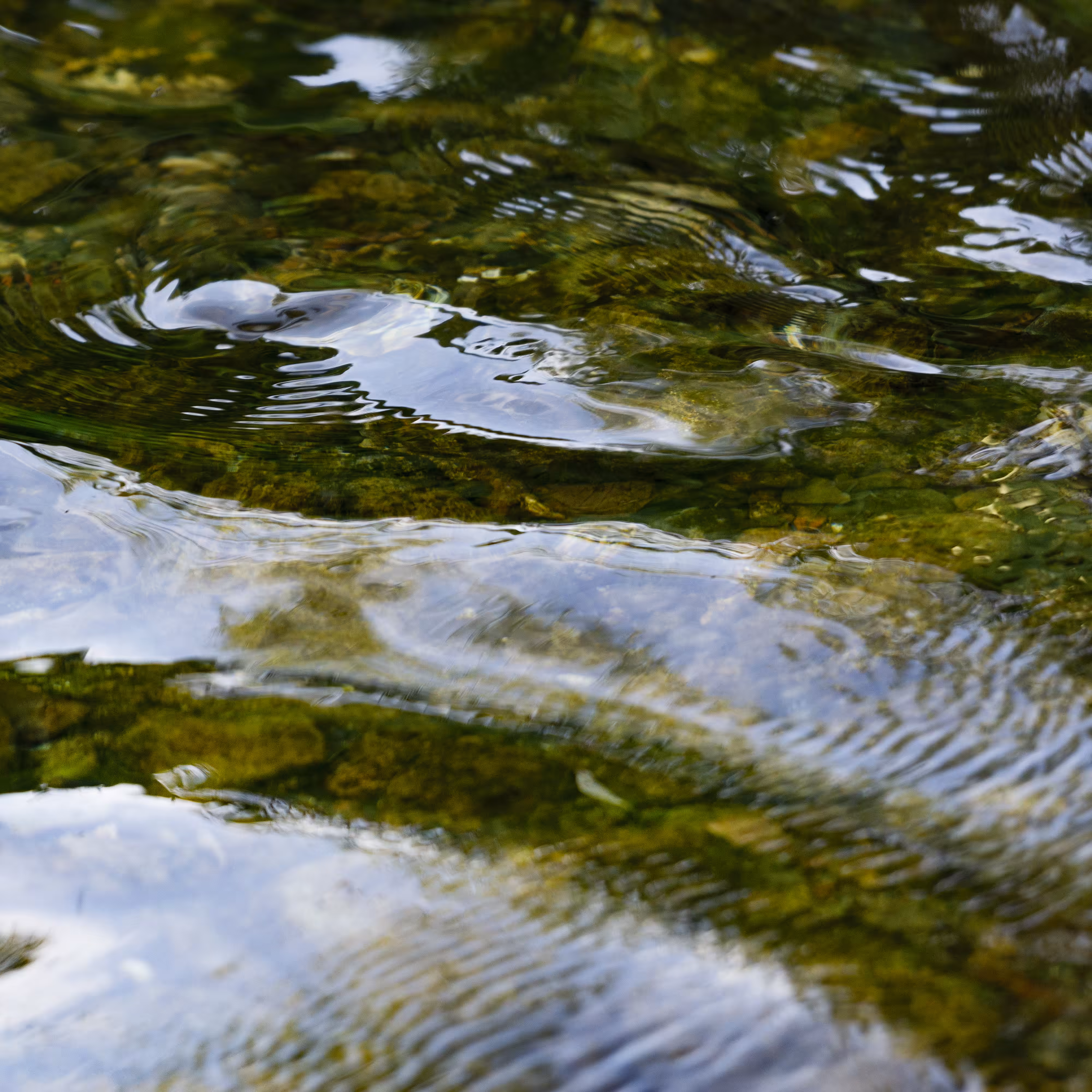 The River