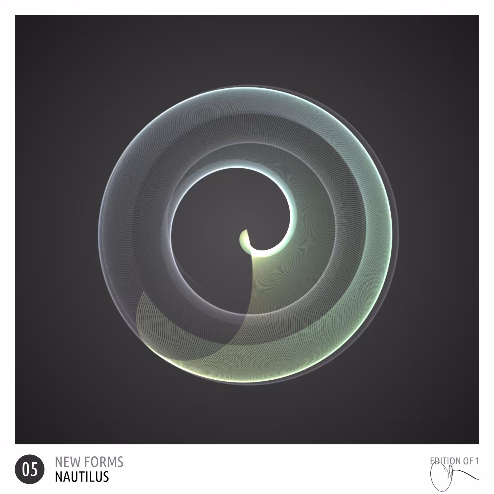 new forms 05 : nautilus