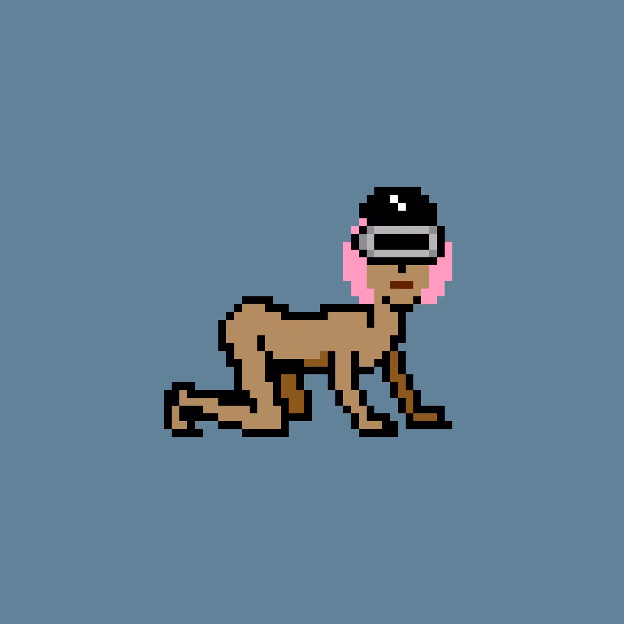 CrawlingPunk #9972