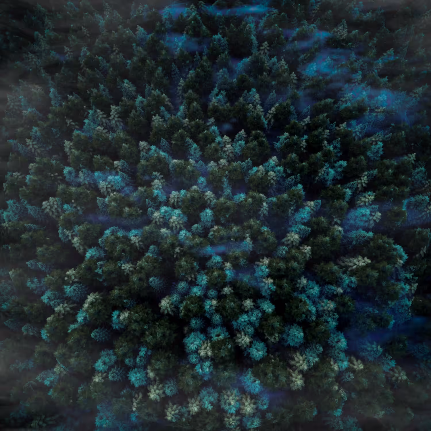 MIMESIS FOREST- INTRO: INTO THE FOREST