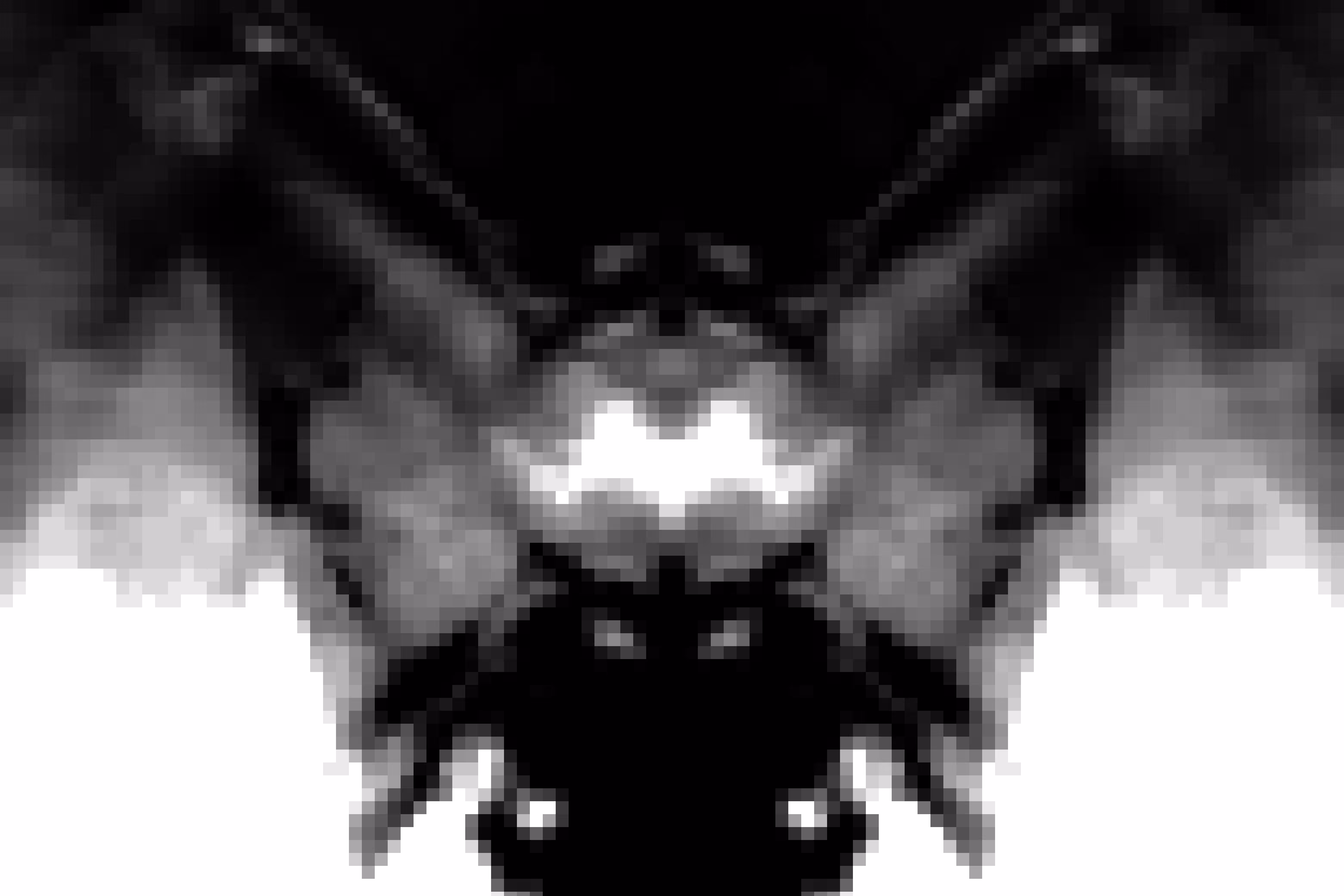Pixel Rorschach #10