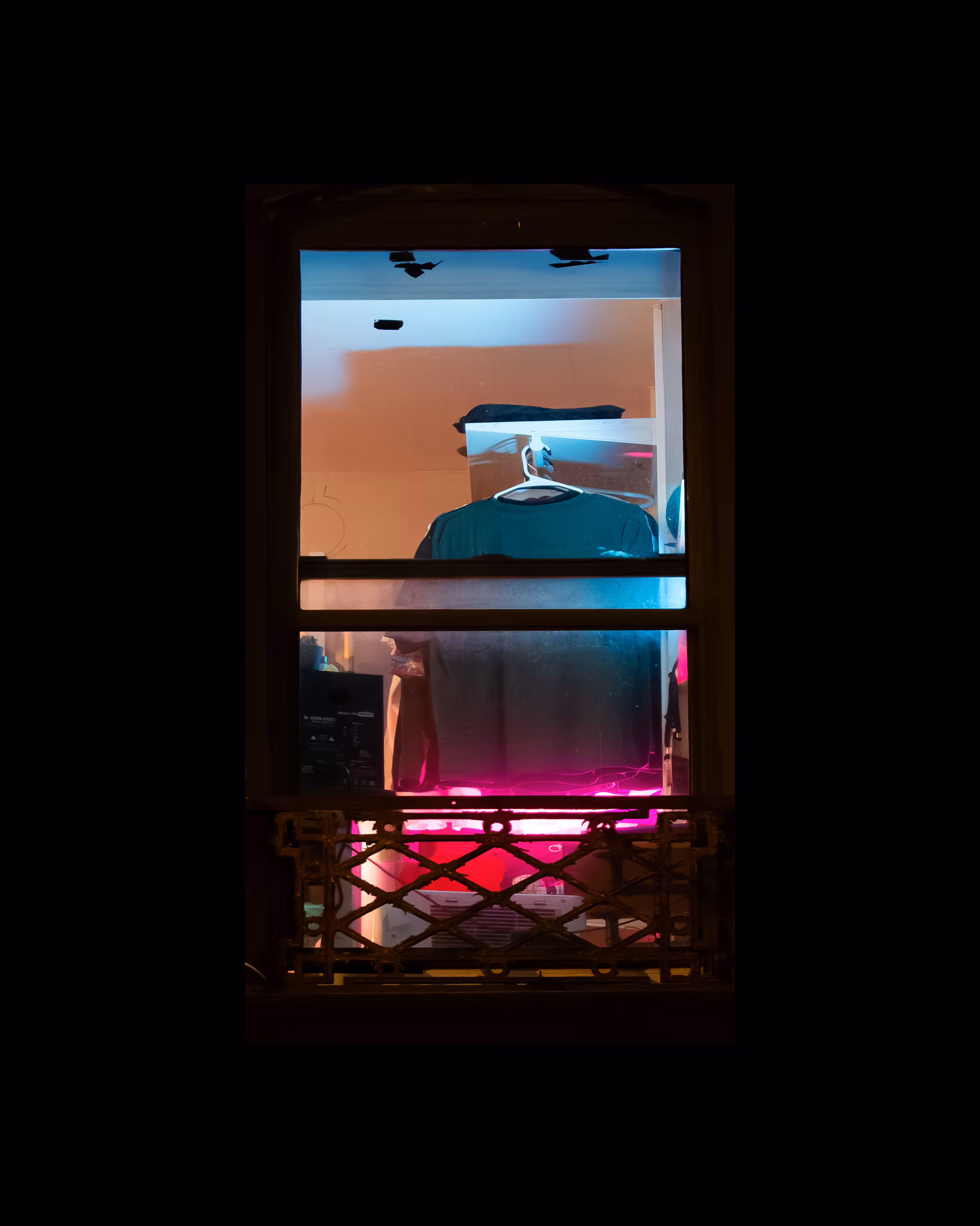 WINDOWS // NYC: WINDOW 206