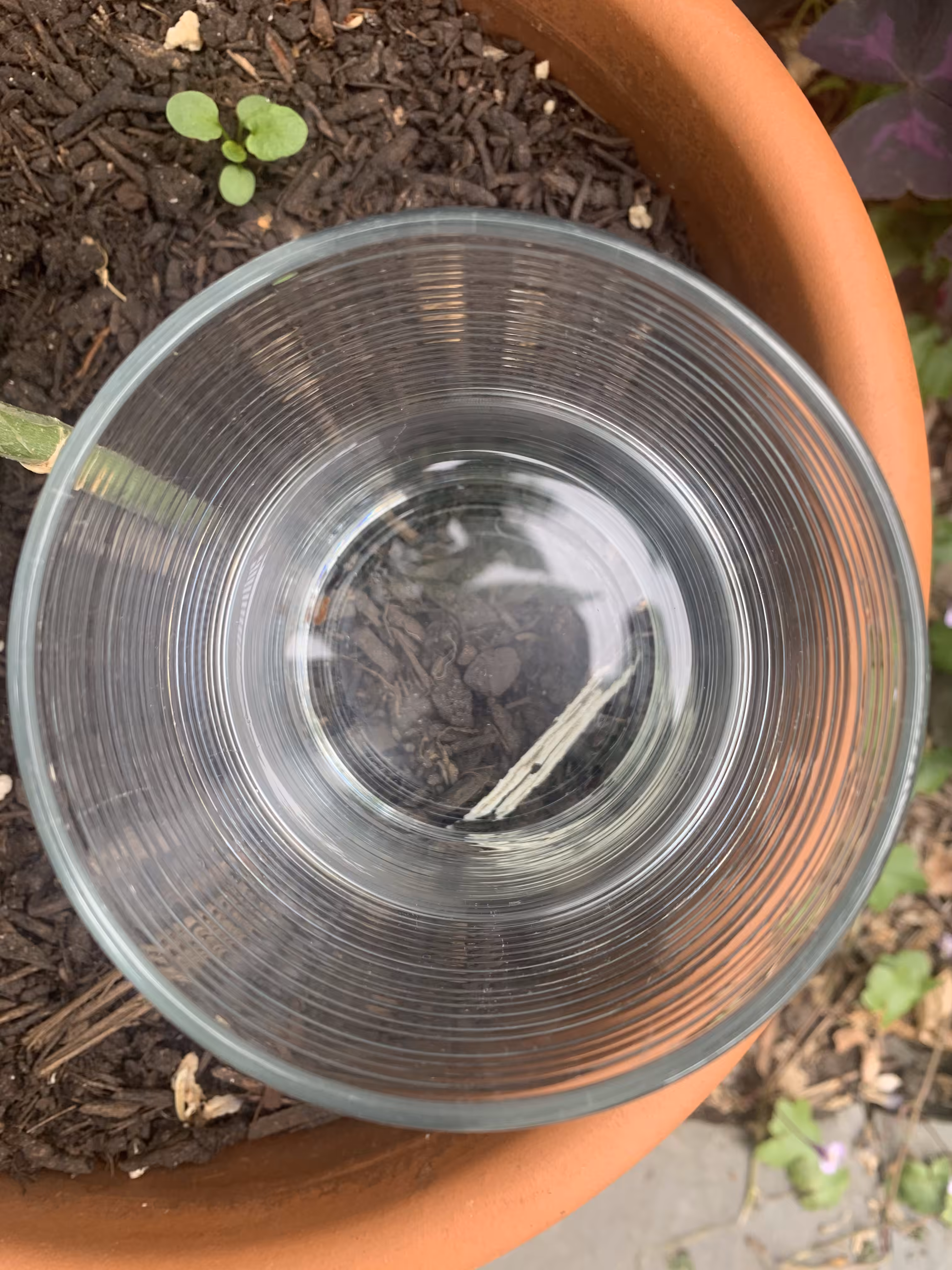 Neutral Water 23/27
