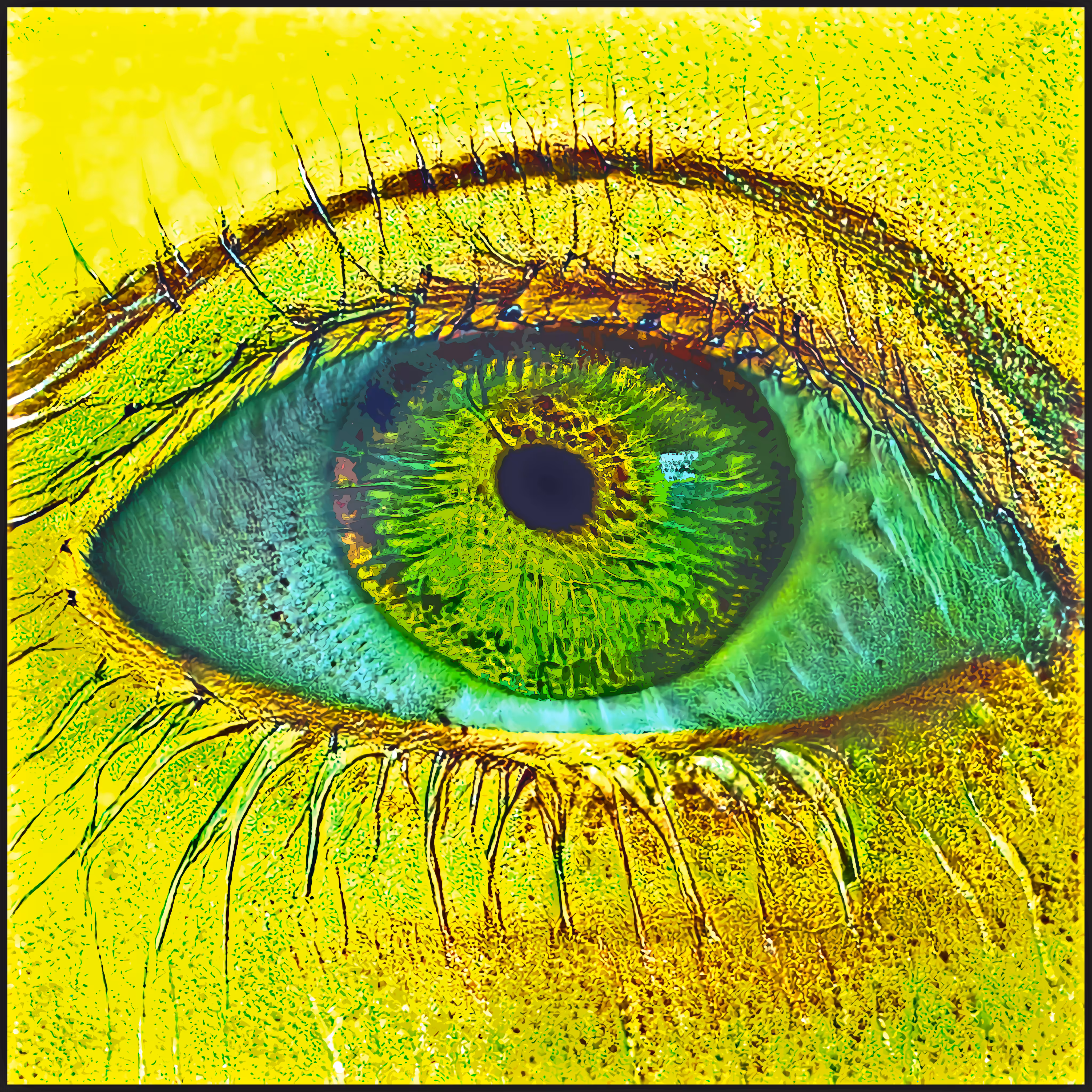 oculus