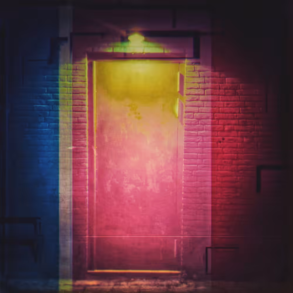 Back Doors