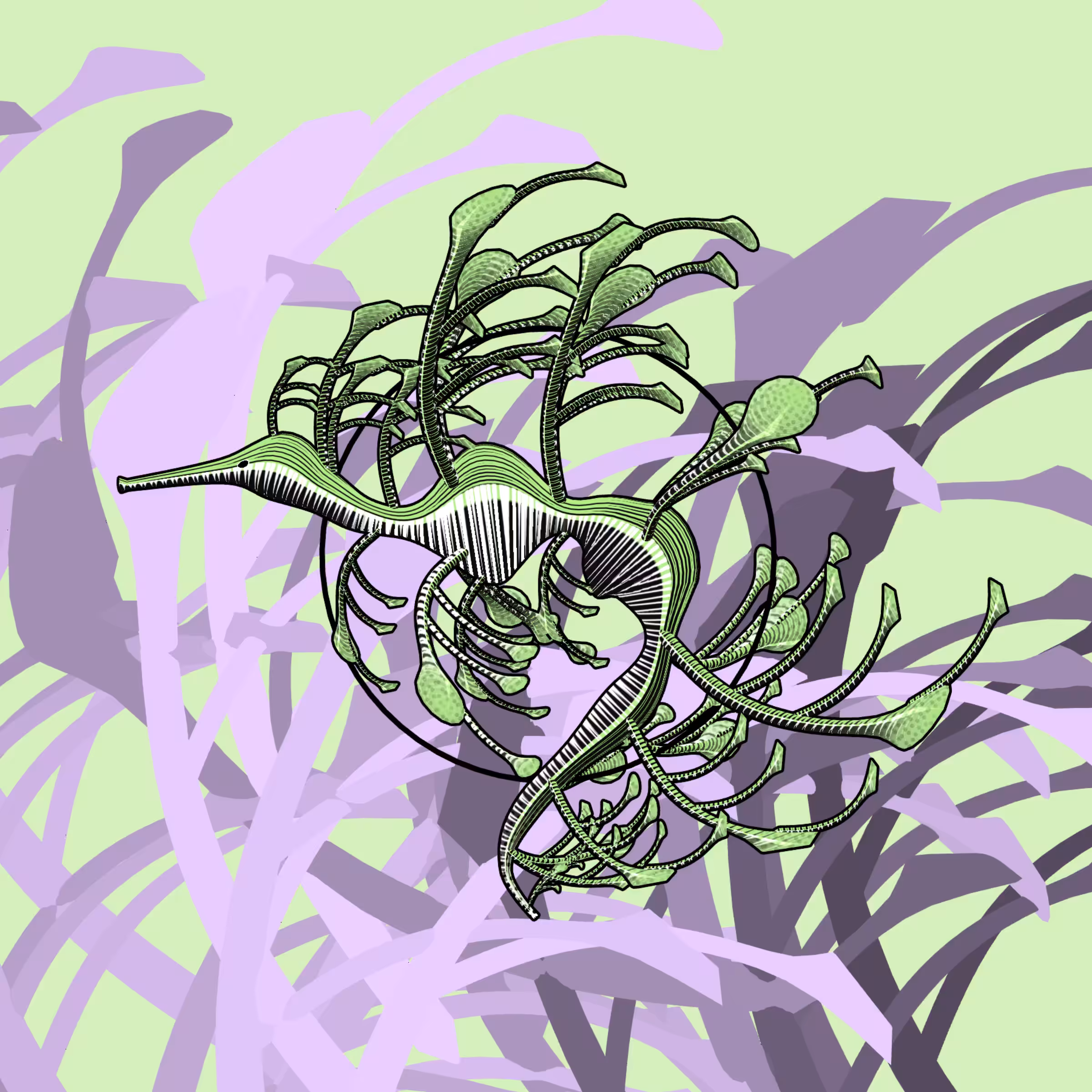 Seadragons #601