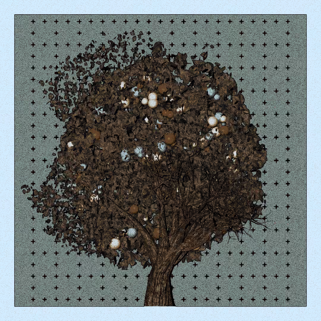 _argania[primaria] #120
