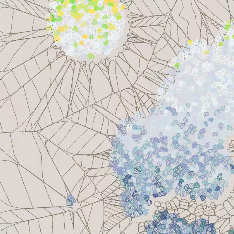 Fractured Cells #122