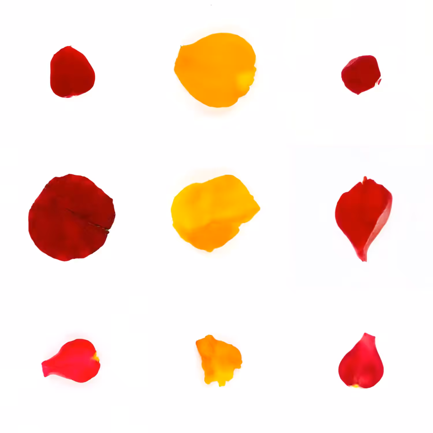 Infinite Petals 3x3#3095