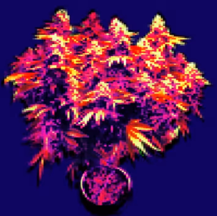 HEN TREE -087