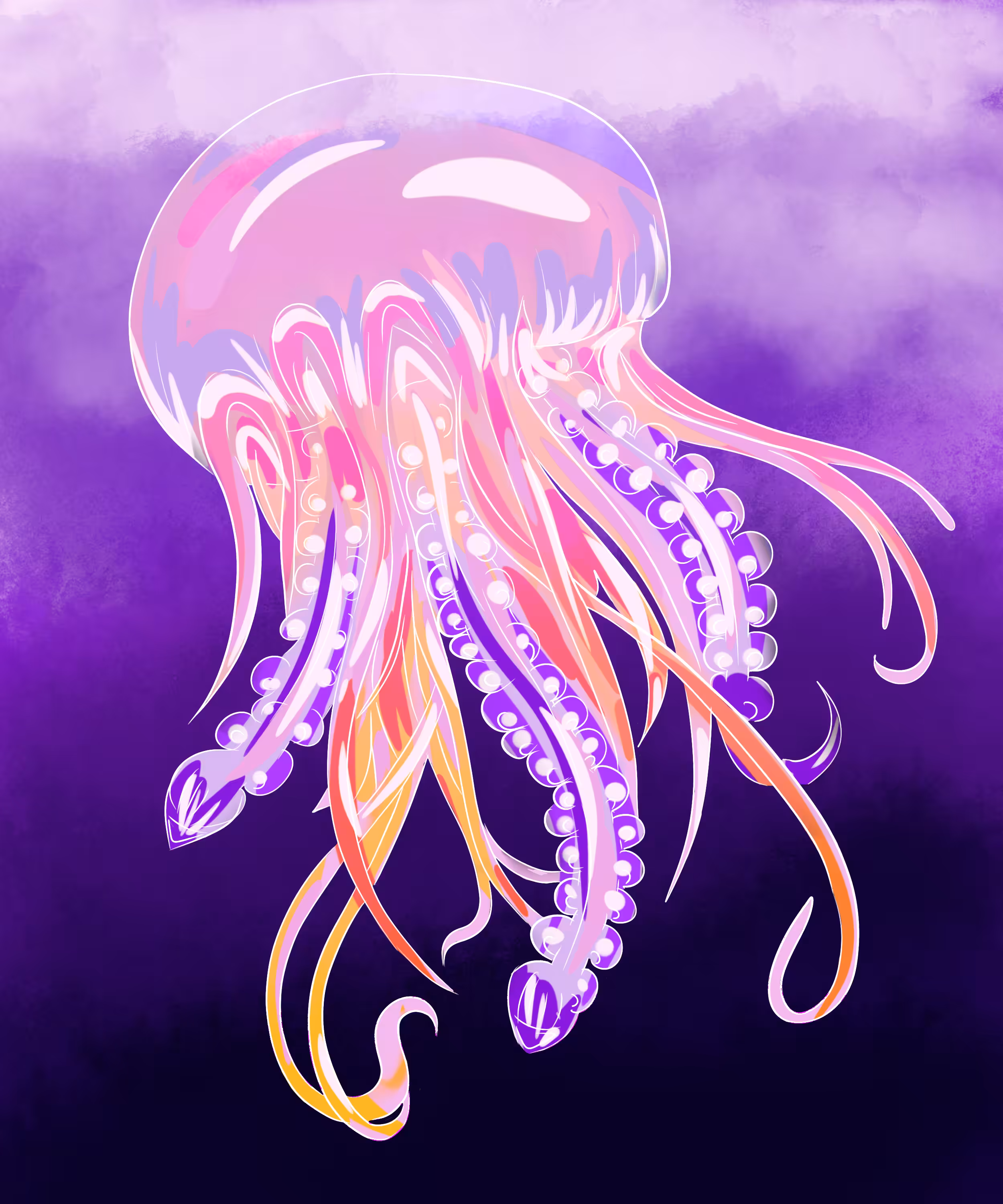 Jellyfish