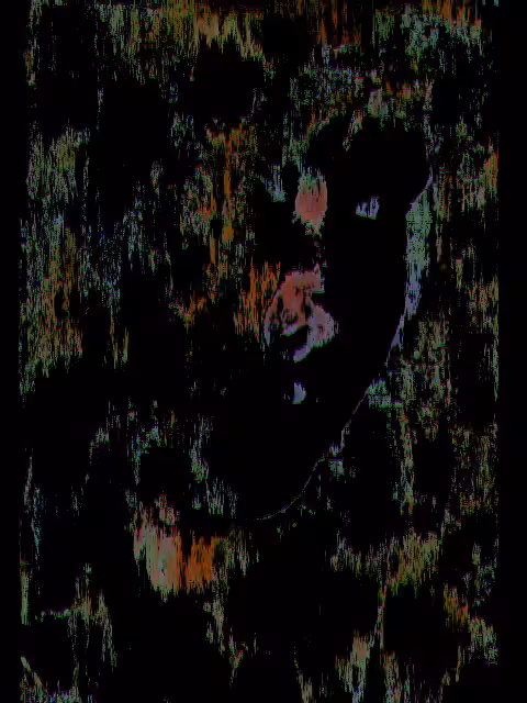 glitched self portrait