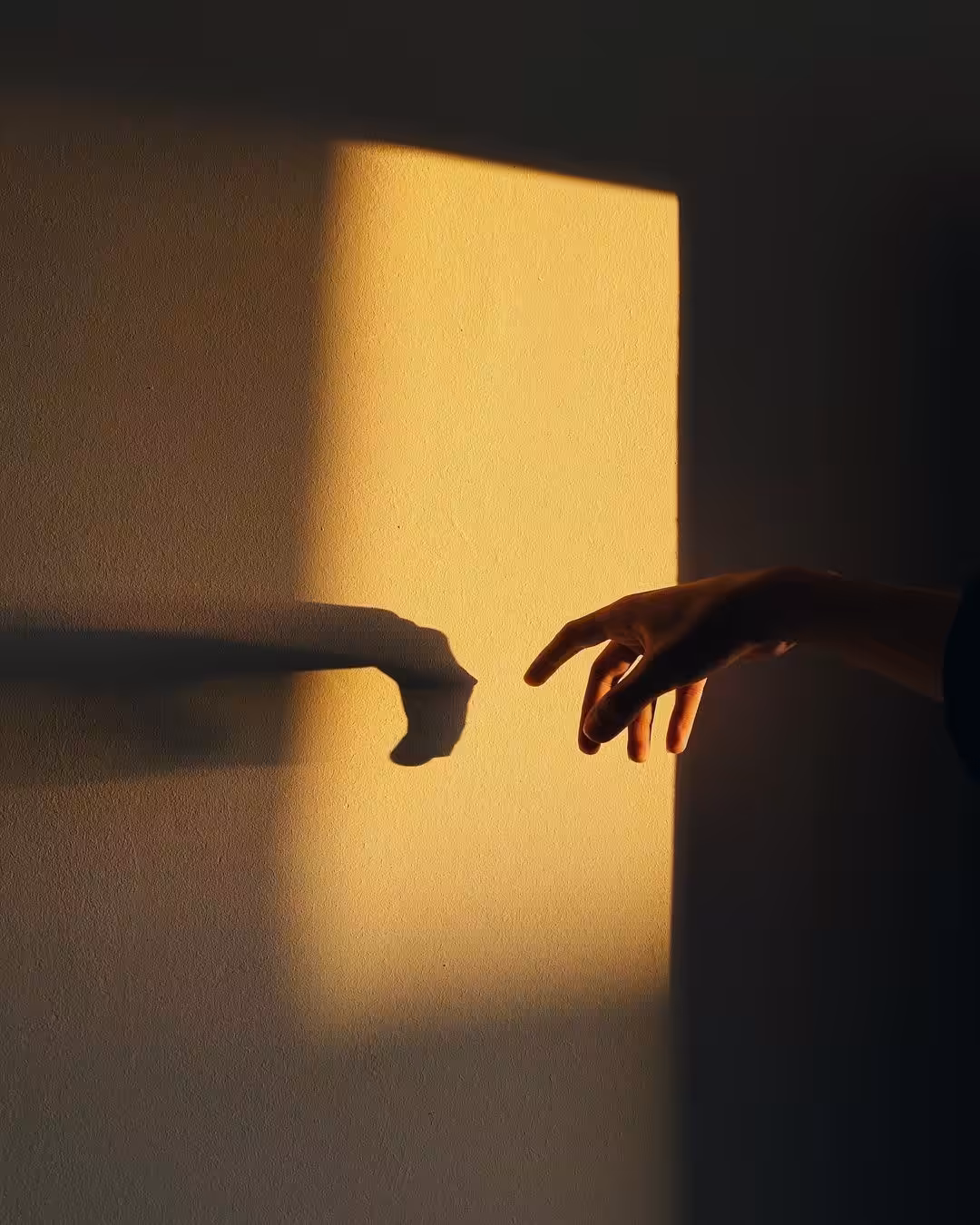 feel the light.