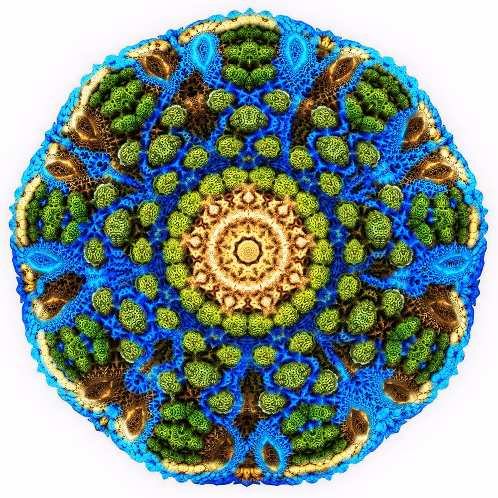Biosphere