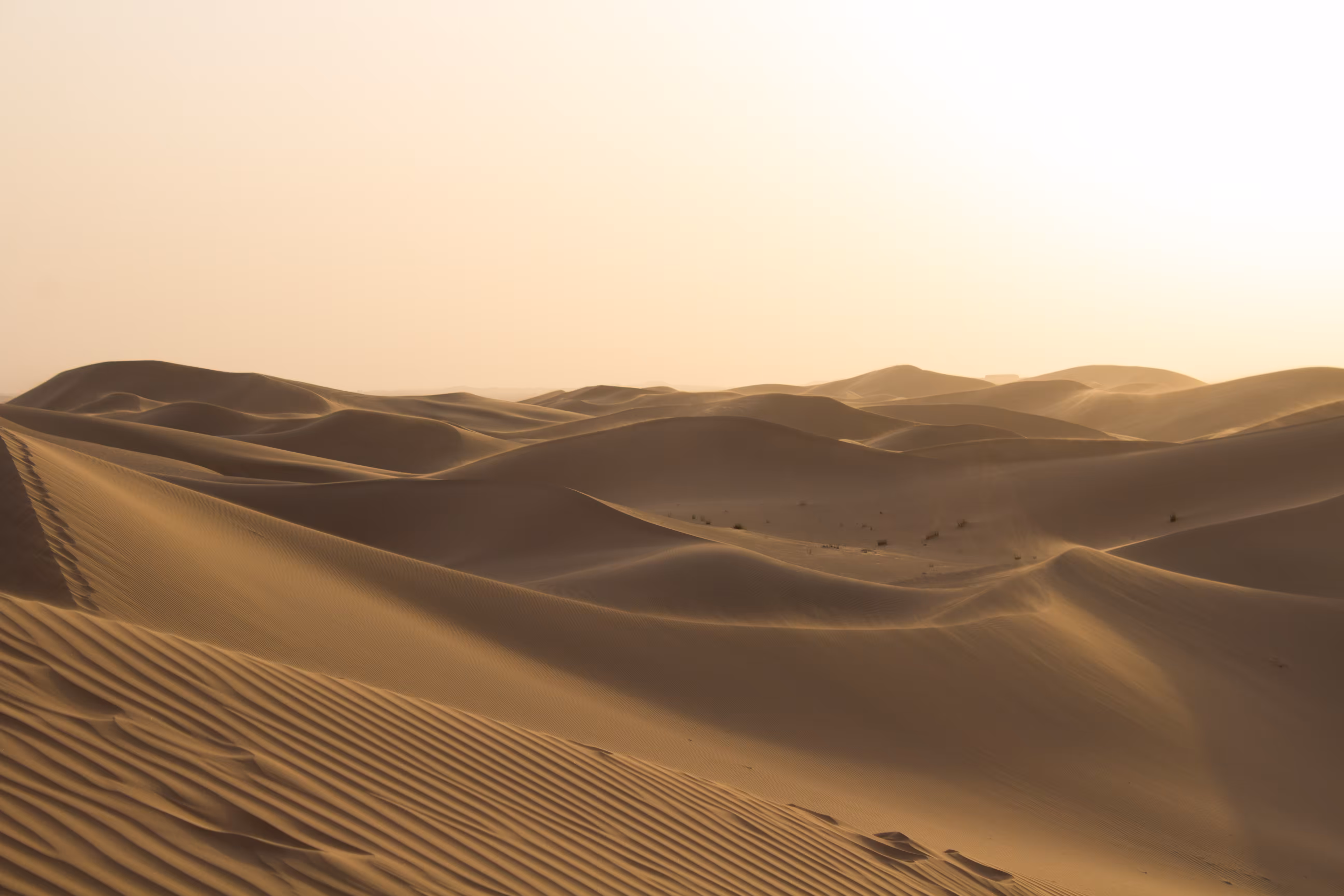 Sand Moves