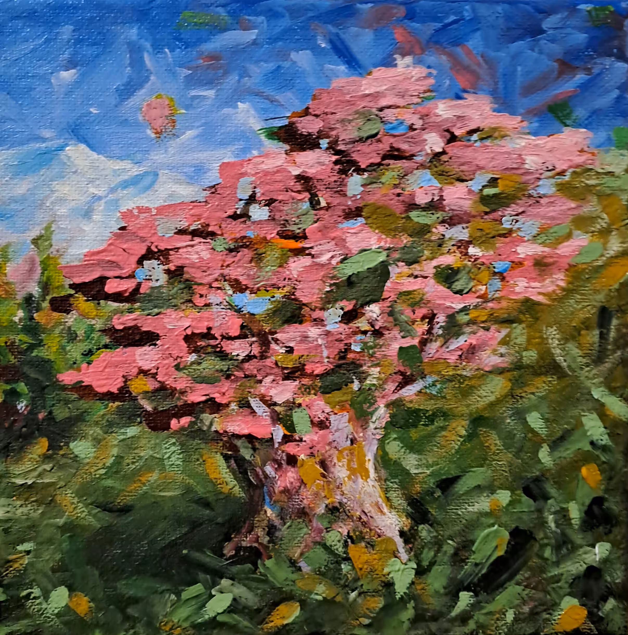Life Of A Cedar  #38