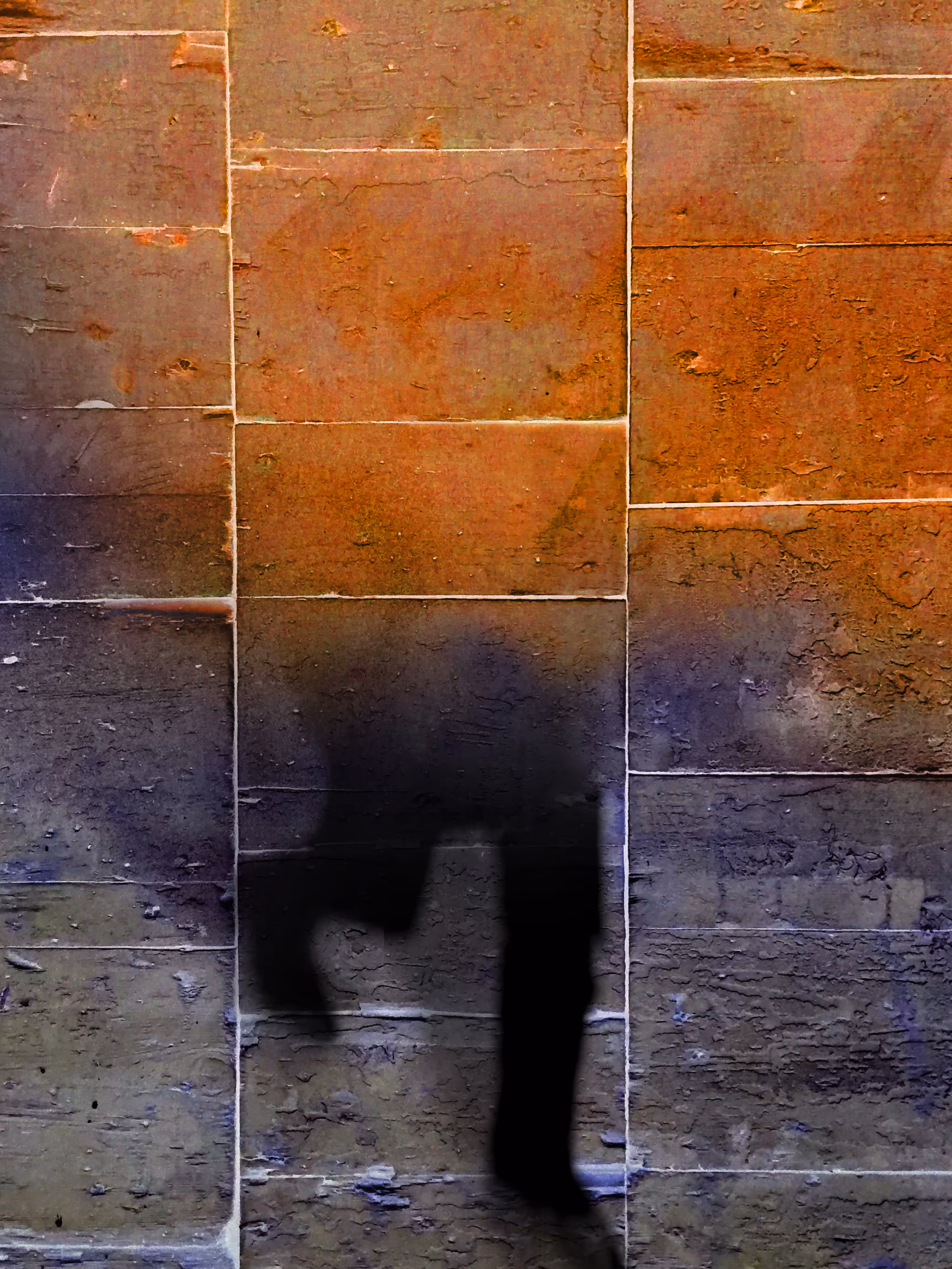 WALKING ON TWO LEGS #3