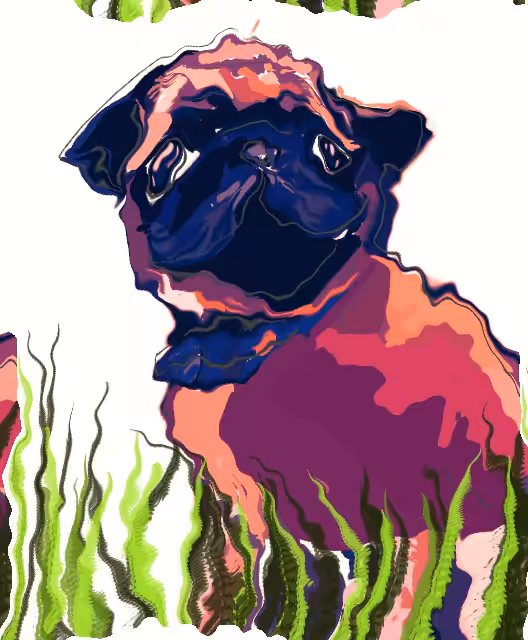 Pug