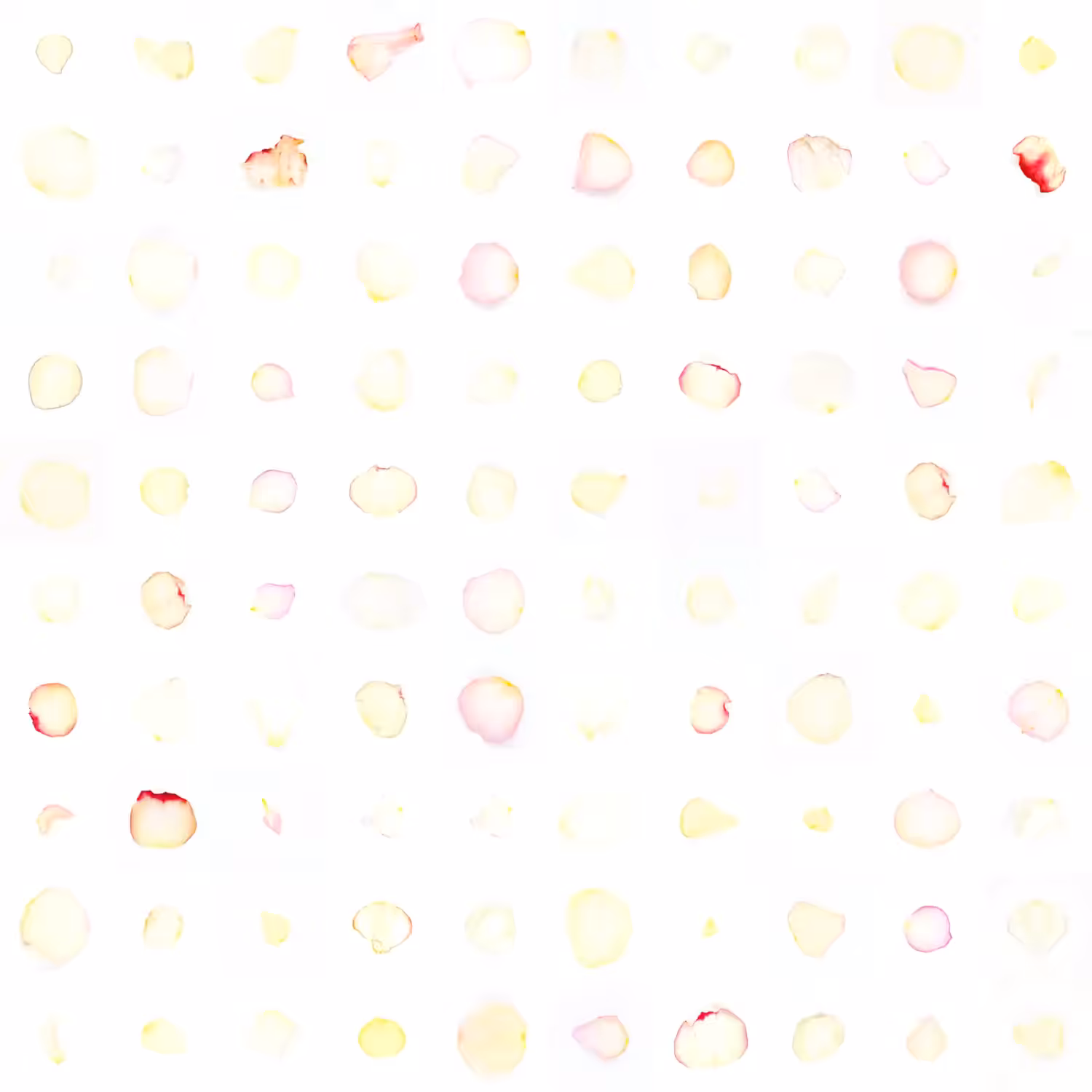 Infinite Petals 10x10#4066