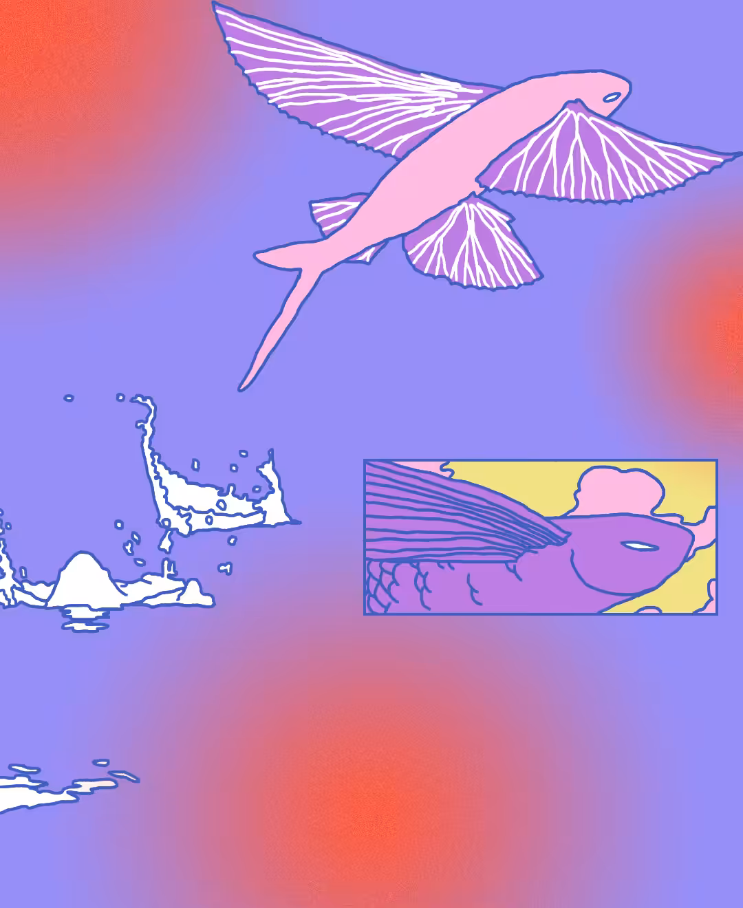 flying fish 02