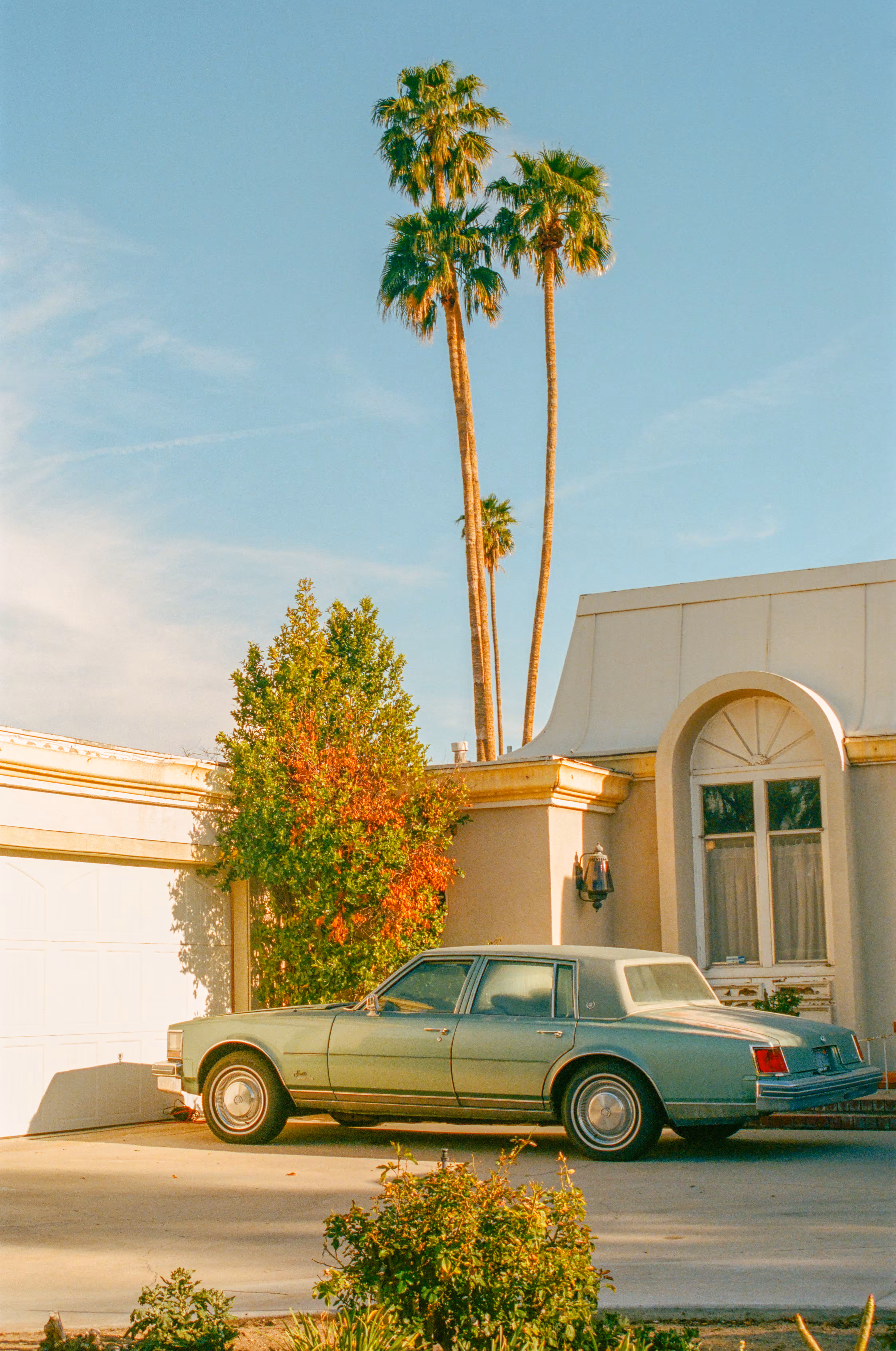 Palm Springs Warmth