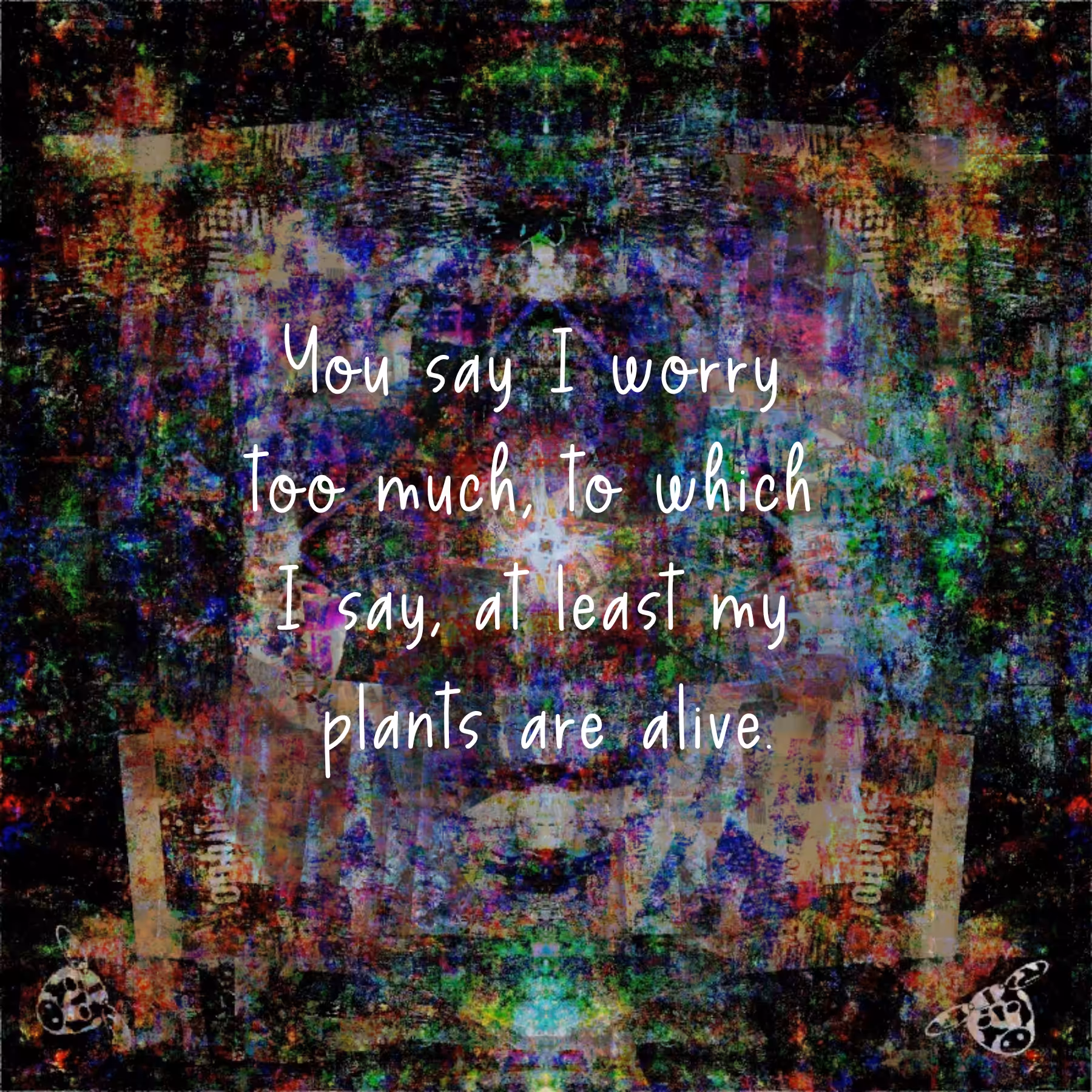 My Plants